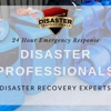 Disaster Professionals gallery