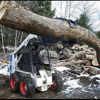 Torcasio Tree Service gallery