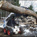 Torcasio Tree Service - Arborists
