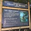 Pandora – The World of Avatar gallery