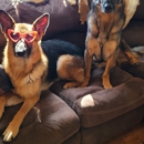 O'Fallon Veterinary Medical Center - Veterinarians