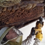 Hive Pro Bee Removal Inc.