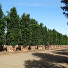 Moon Valley Nurseries