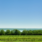 Seneca Lake Wine Trail