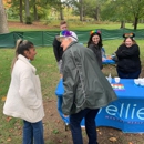 Ellie Mental Health - Psychotherapists
