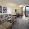 Hilton Marco Island Beach Resort and Spa gallery