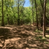 Beck Tree Service gallery