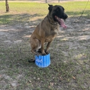 Dog Training Elite West Houston - Pet Services