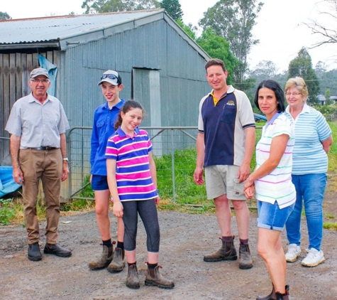 Llandilo Farm Fresh Eggs - Llandilo, NSW