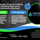 Pro Clean Solutions - Power Washing