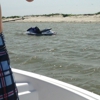 Townsend's Marina gallery