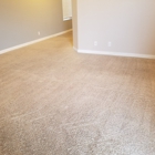 T Bird Carpet Care