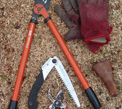 Torquay Tree Lopping - Jan Juc, VIC
