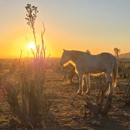 Double R Guest Ranch - Lodging