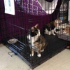 All Pet Supplies & Equine Center gallery