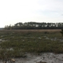 Skidaway Island State Park