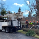 Flynn Tree Services - Tree Service