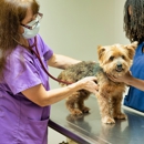 Eldorado Animal Clinic - Veterinarians