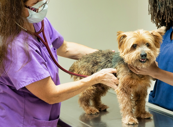 Eldorado Animal Clinic - Santa Fe, NM