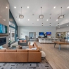 Aspen Buffalo gallery