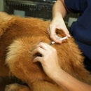 At Home Veterinary Care - Veterinarian Emergency Services