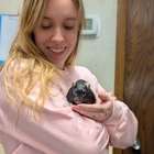 VCA Associates in Pet Care Animal Hospital