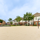 Chateau Mirage Apartment Homes - Apartments