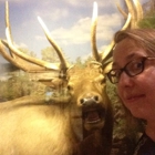 Guntzvillers Taxidermy & Spirit of the Woods Museum