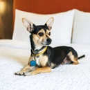 Hampton Inn Lexington South-Keeneland/Airport - Hotels