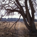 Bluff Creek Ranch - Ranches
