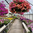 Missinne Greenhouse & Landscaping