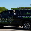 Alpha Wildlife & Pest Management gallery