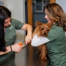 Hartsdale Veterinary Hospital - Veterinarians