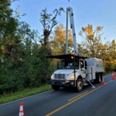 Tree Tech of Louisiana - Tree Service