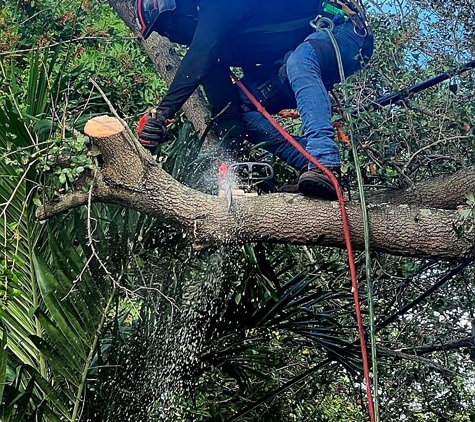 Full Tree Services - Davie, FL. Trimming By Power Lines