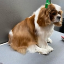 Happy Paws Pet Spa - Pet Grooming