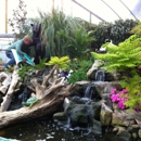 Plant Ranch - Nurseries-Plants & Trees