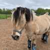 Ashland Area Veterinary Clinic gallery