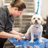 The Pet Hospitals gallery