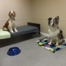 Four Paws Pet Hotel and Resort - Motels