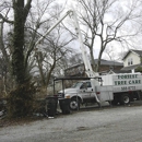 Foriest Tree Care - Tree Service