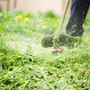 T & T Lawn Services - Gardeners