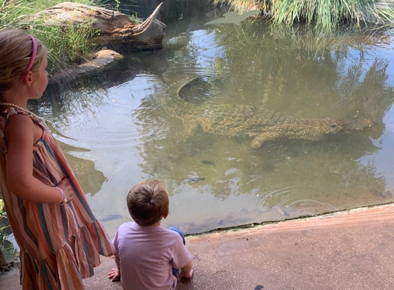 St. Augustine Alligator Farm Zoological Park - Saint Augustine, FL