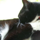 Banfield Pet Hospital - Pet Services