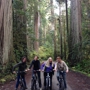 Redwood Rides