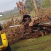 C & S Tree Service gallery