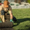 Quick Trimms Lawn Care gallery