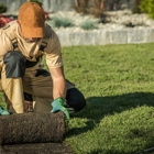 Quick Trimms Lawn Care