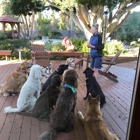 Anita's Loving Pet Services