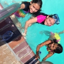 Seahorse - Swimming Instruction
